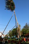 Maibaumstellen 2025 durch die Feuerwehr