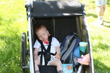 Maiwanderung & Maifest 2025