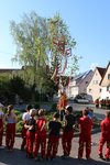 Maibaumstellen 2025 durch die Feuerwehr
