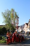 Maibaumstellen 2025 durch die Feuerwehr