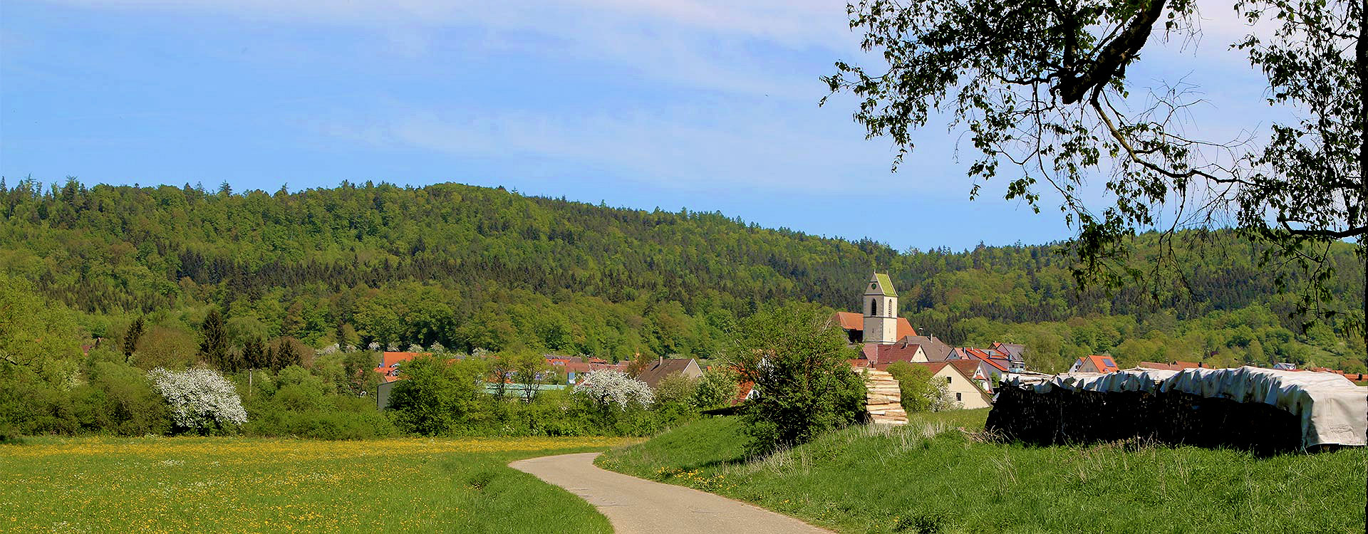 Dettingen vom Gassenweg gesehen