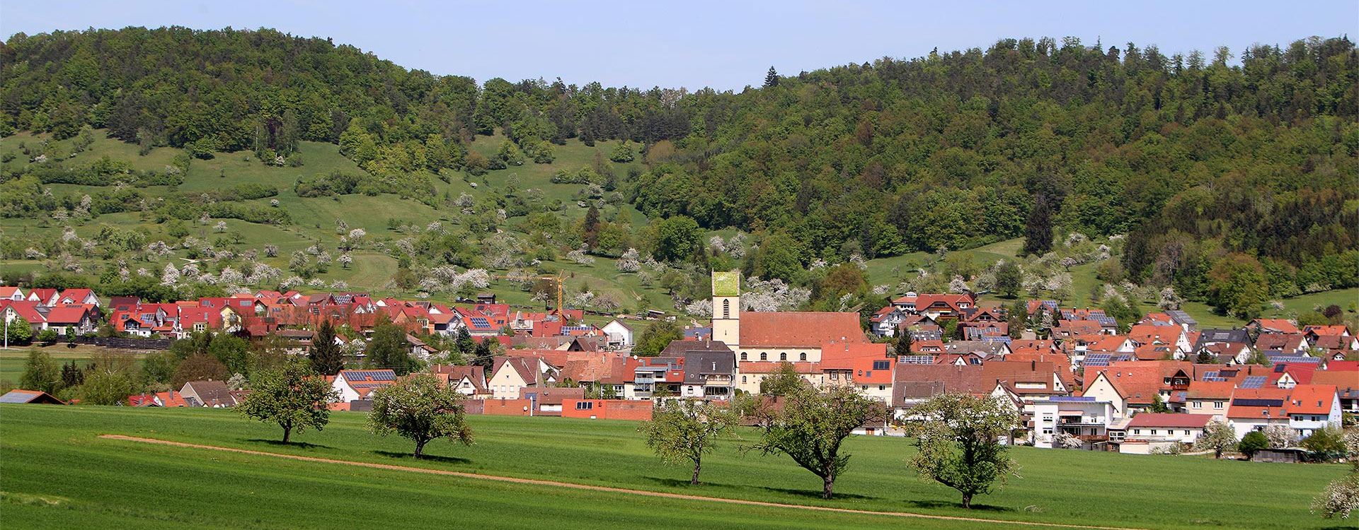 Dettingen von der Au gesehen